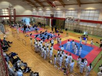 Taekwondo Hala