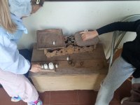 Chlebek